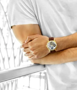 Precision. Power. Presentation.(Precision Power Presentation) -Alexander Store 3918.3 Legacy MD1 scaled