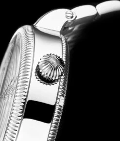 Special Reserve 3922Automatic 48mm Skeleton(Special Reserve 3922 And 3923 Automatic 48mm Skeleton) 35 Special Reserve 3922Automatic 48mm Skeleton(Special Reserve 3922 And 3923 Automatic 48mm Skeleton) -Alexander Store 3922.1 Legacy MC5