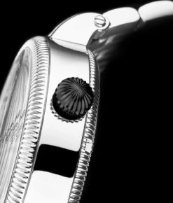 Special Reserve 3922Automatic 48mm Skeleton(Special Reserve 3922 And 3923 Automatic 48mm Skeleton) 28 Special Reserve 3922Automatic 48mm Skeleton(Special Reserve 3922 And 3923 Automatic 48mm Skeleton) -Alexander Store 3922.4 Legacy MC5