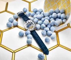 Radiant 925 Automatic 44mm Skeleton(Radiant 925 Automatic 44mm Skeleton) -Alexander Store 925.01 Lifestyle Candy