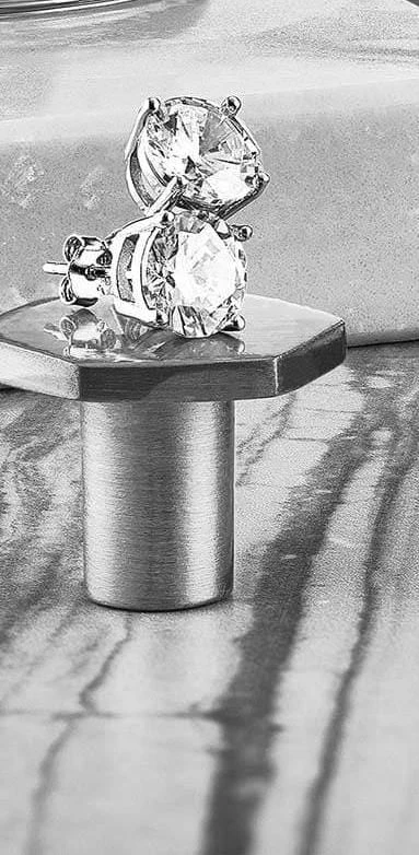 Stunning Skeletons Rose Duo With Signature Pen And Stud Earring(Stunning Skeletons Rose Duo With Signature Pen And Stud Earring) 5 Stunning Skeletons Rose Duo With Signature Pen And Stud Earring(Stunning Skeletons Rose Duo With Signature Pen And Stud Earring) - Image 5