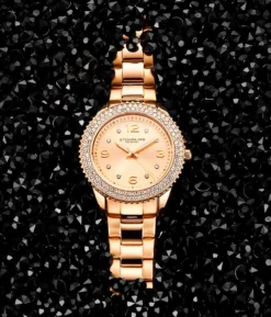 Mirabelle 3912 Quartz 38mm Fashion(Mirabelle 3912 Quartz 38mm Fashion) 30 Mirabelle 3912 Quartz 38mm Fashion(Mirabelle 3912 Quartz 38mm Fashion) -Alexander Store Stuhrling 3912.3 Mirabelle Vogue LS2