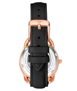 Nexus Automatic 36mm Skeleton(3991 Automatic 36mm Skeleton) -Alexander Store Stuhrling 3991.3 CP