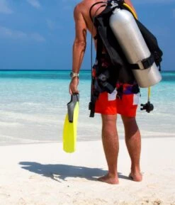 Executive Diver & Skeleton Gift Set(Copy Of Presidia 943a 03 Depthmaster 3940 2 Signature Pen And Watch Tool Kit) -Alexander Store Stuhrling 792.01 Regatta Aquadiver MD1 a7bdbb61 934e 47b6 a374 c6de87e9cf7a