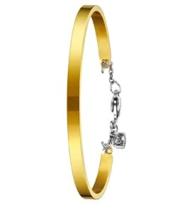 Simple Elegant Bangle(Bng4) -Alexander Store Stuhrling BNG4.Gold DF
