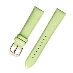 Replacement Strap St.109SW2.1145P2gr(Replacement Strap St 109sw2 1145p2gr)